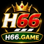 H66