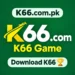 K66