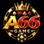 A66